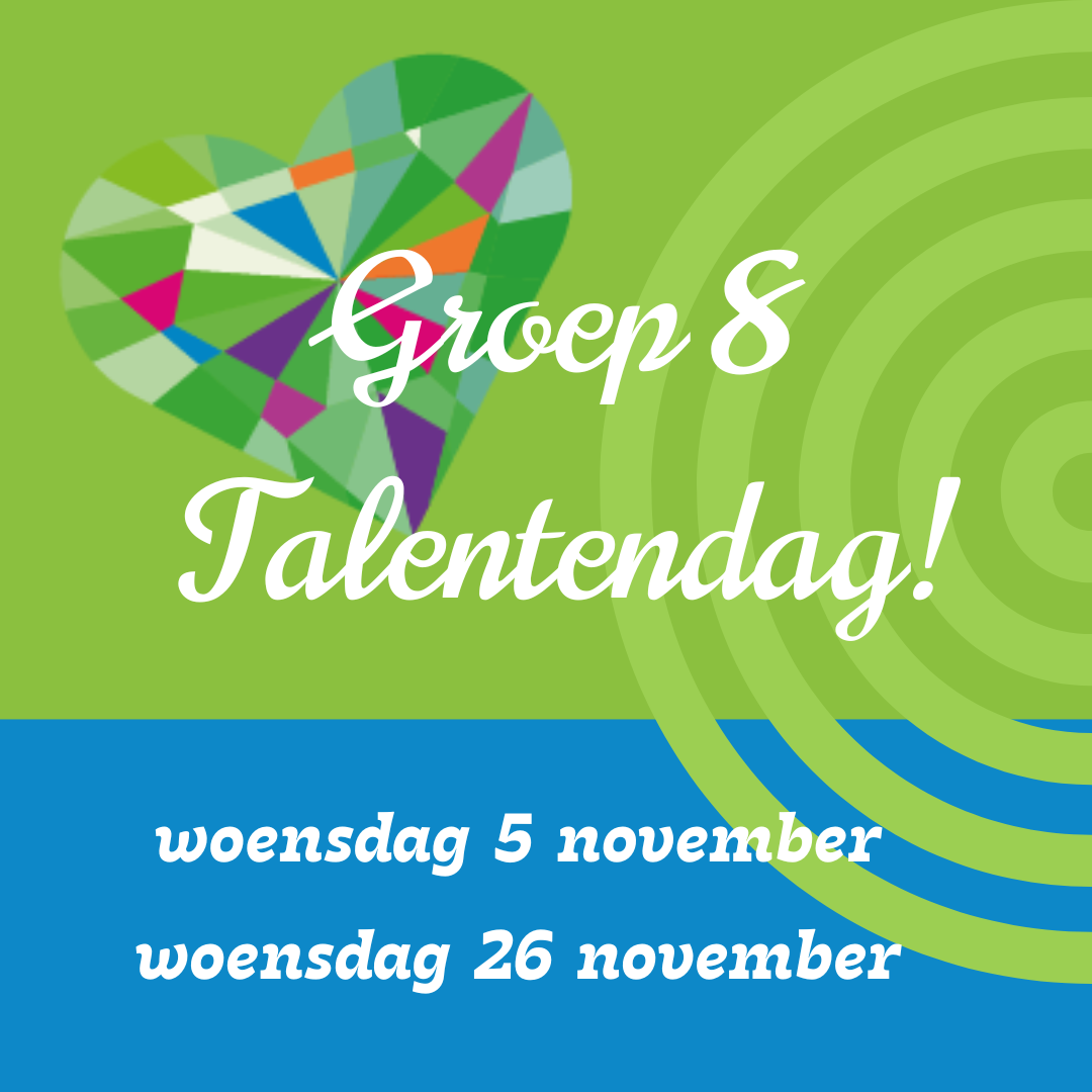 Groep 8 Talentendag