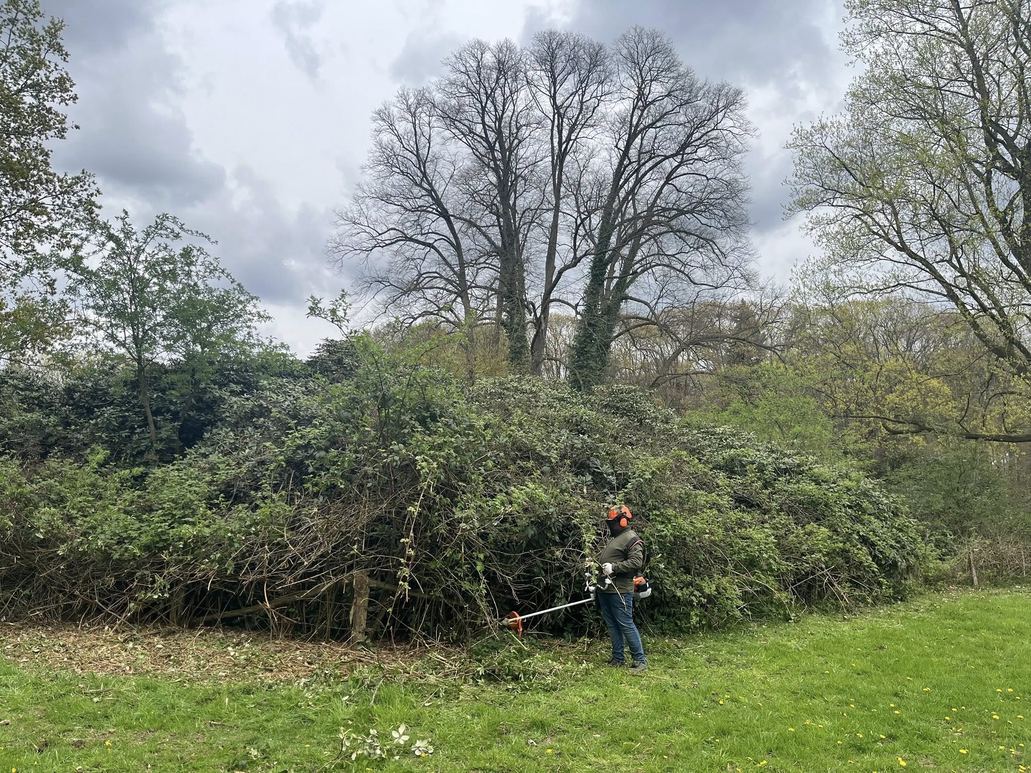 Leerlingen behalen bosmaaicertificaat